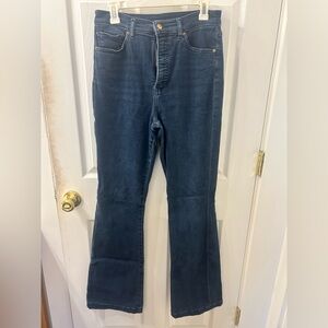 Express Dark Blue Flare Jeans